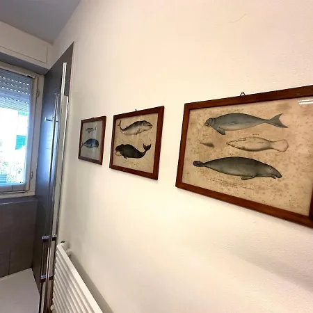 Apartment Sea View Design In Centre